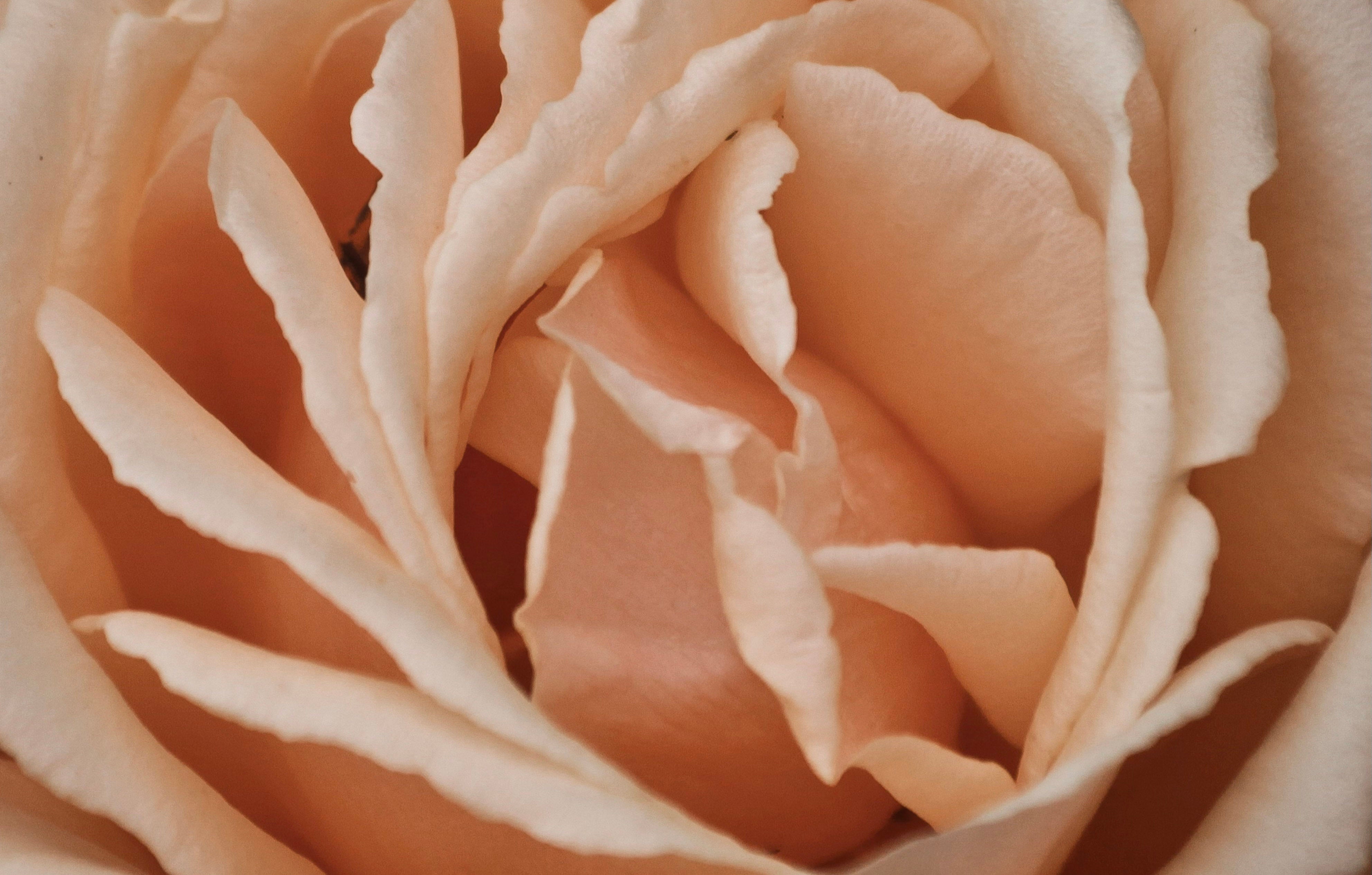 Prioritising Your Sex Life by Cultivating a Pleasure Context