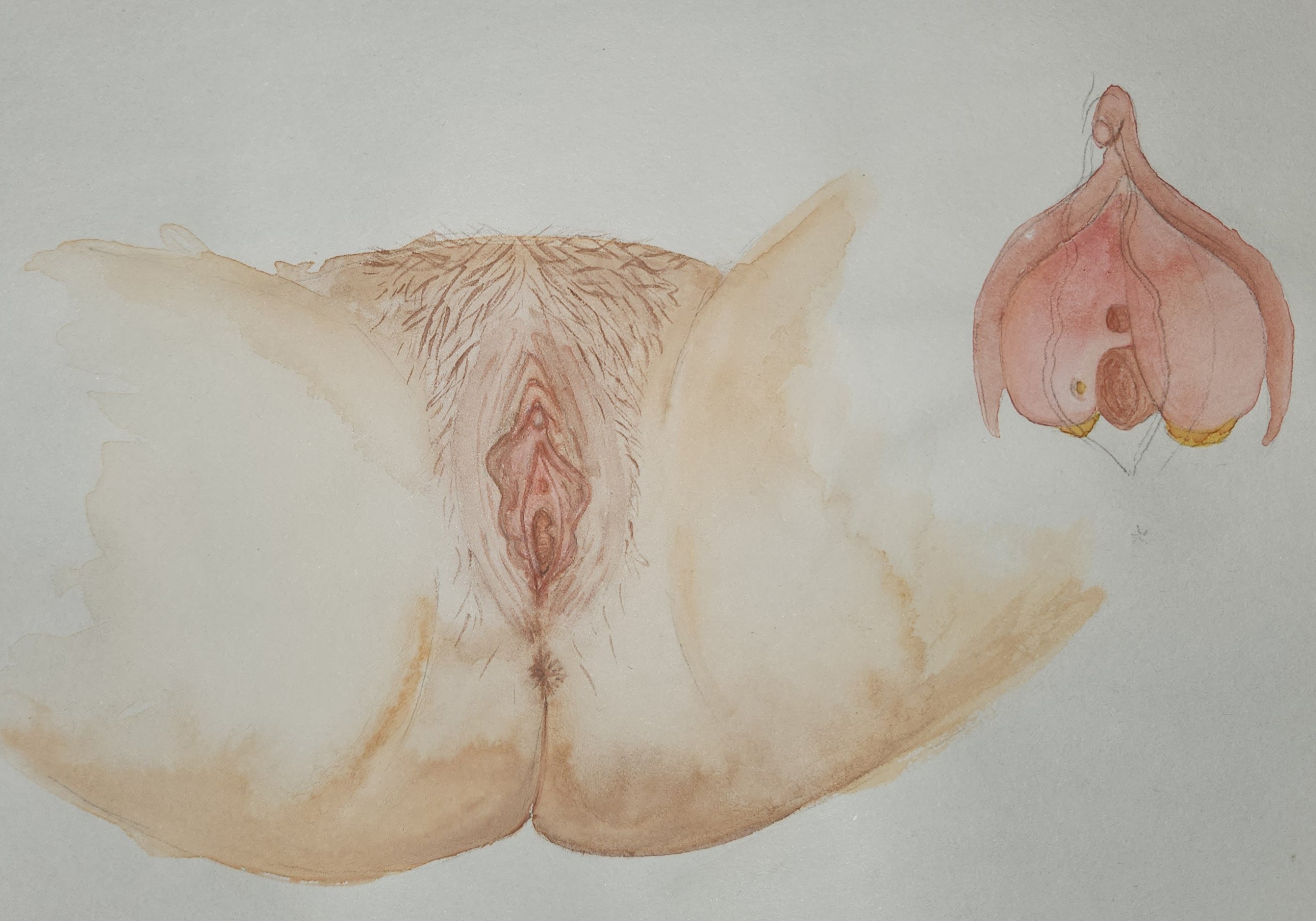 Vulva Art