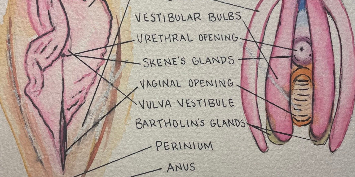 Clitoris awareness week