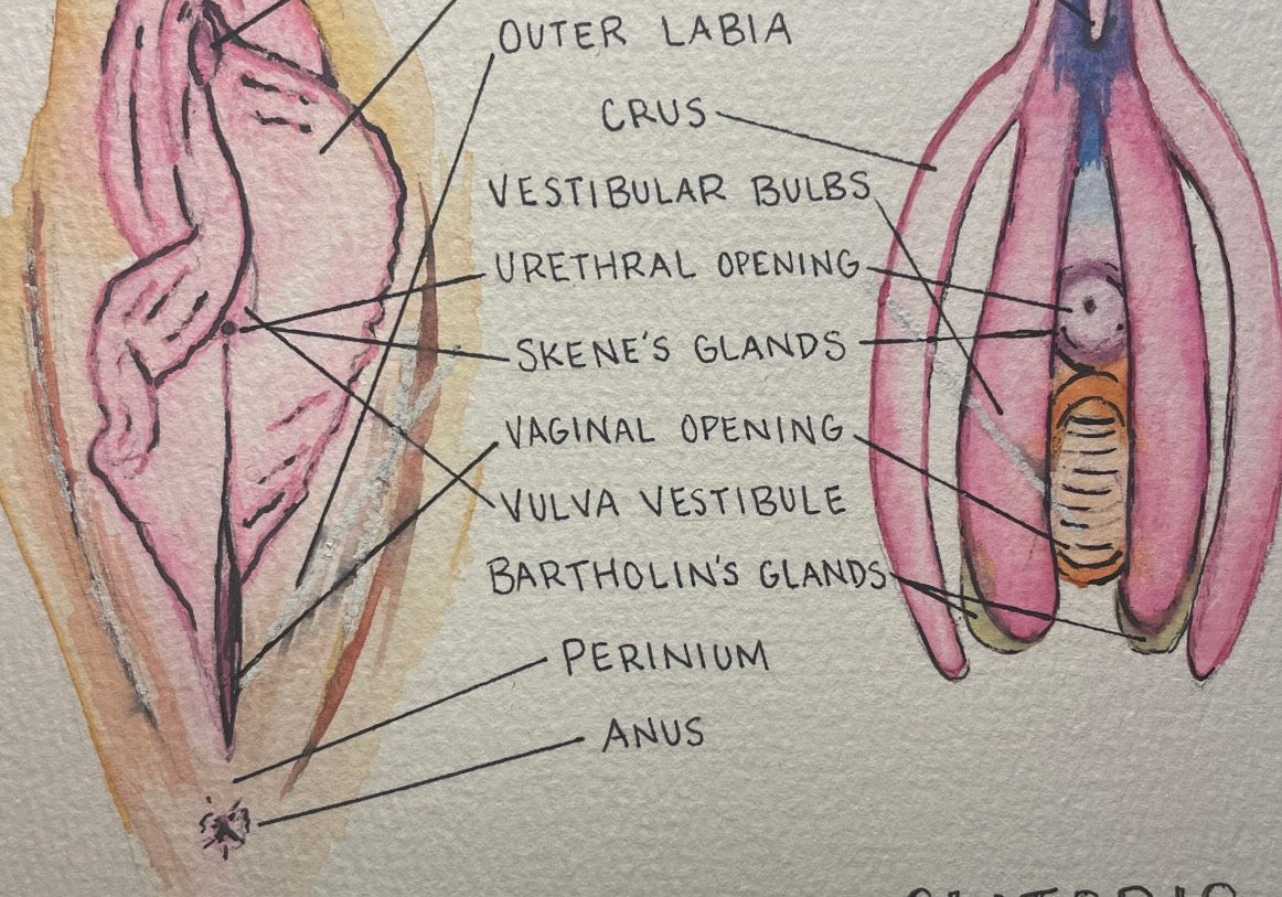Clitoris awareness week